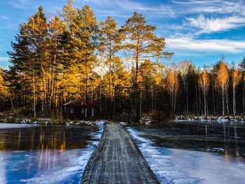 Scenic view of lake in forest during winter