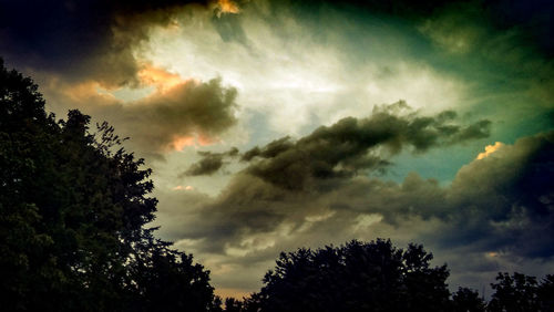 Silhouette of trees against cloudy sky