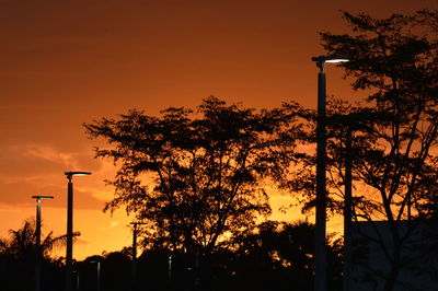 Silhouette trees against dramatic sky during sunset