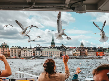 Low angle view of seagulls flying over city