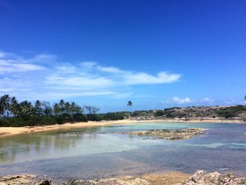 Scenic view of beach against blue sky