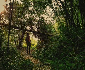 Rear view of man walking in forest