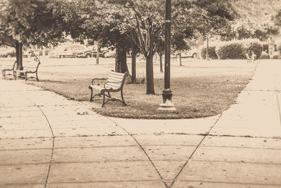 Empty bench on footpath in park