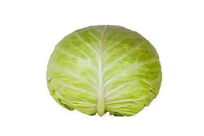 Close-up of leaf against white background