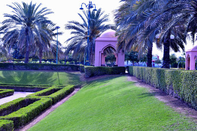 View of garden in park