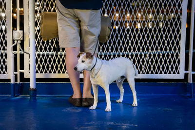 Low section of people standing on railing with a dog 