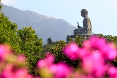 Rear view of people sitting on mountain against sky