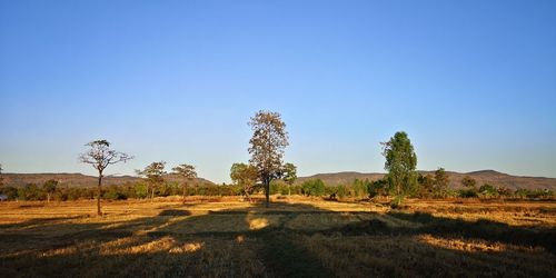 Scenic view of land against clear blue sky