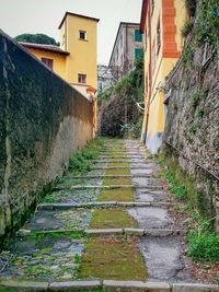 Narrow alley along buildings