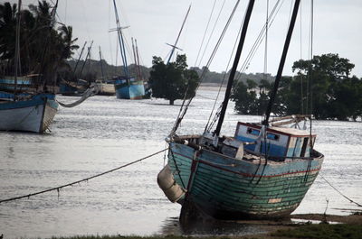 Boats moored at harbor