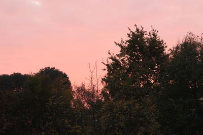 Silhouette trees against sky during sunset