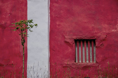 Close-up of red window