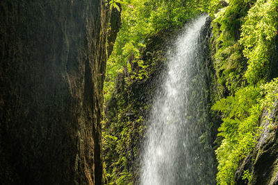 Scenic view of waterfall