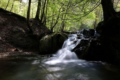 View of waterfall in forest