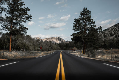 Empty road along trees and plants against sky