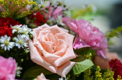 Close-up of rose bouquet