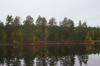 Scenic view of lake by trees against sky