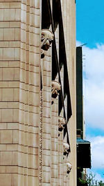 Low angle view of birds on building