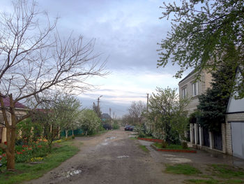 Empty road along bare trees