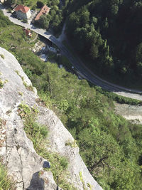 Scenic view of rocks amidst trees