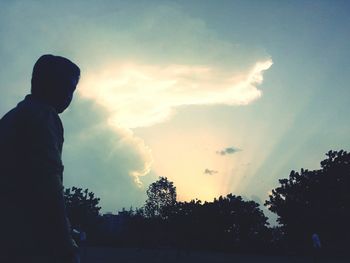 Silhouette man standing on tree