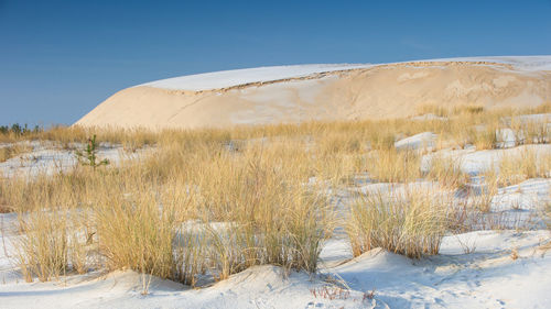 Scenic view of snowy field against clear sky