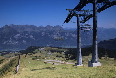 View of trees on landscape