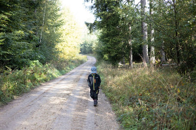 Mushroom hunt in october in bavarian forest, a young boy is walking