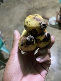 Close-up of hand holding fruit