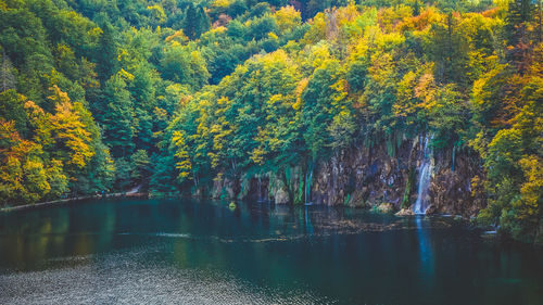 Scenic view of lake in forest during autumn