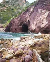 Scenic view of beach