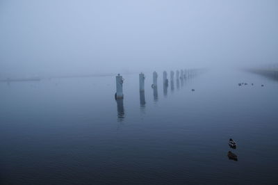 Ducks swimming in lake against sky during foggy weather