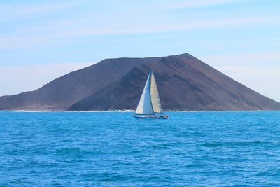 Sailboat sailing in sea