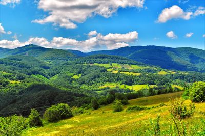 Scenic view of field against sky