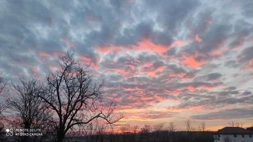 Silhouette bare tree against dramatic sky during sunset