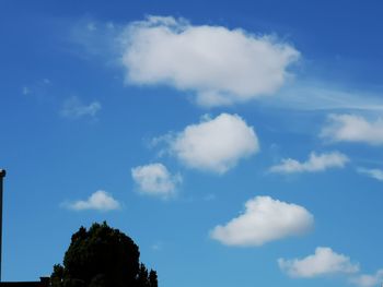 Low angle view of trees against blue sky