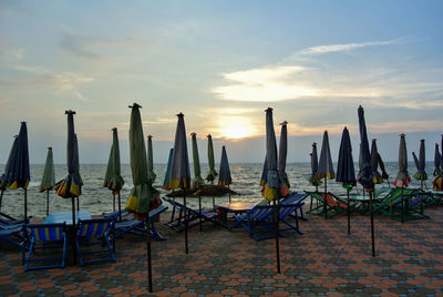 Beach chairs and umbrellas on the beach