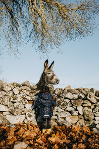 Rear view of girl standing by donkey against sky