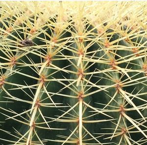 Full frame shot of white background