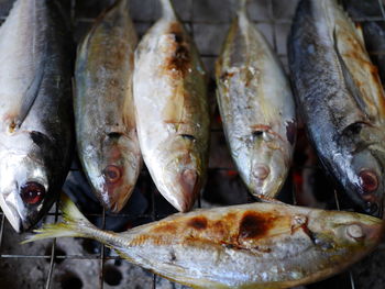 High angle view of fish for sale in market