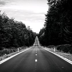 Empty road along trees