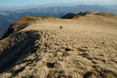 High mountain ridge, rodnei mountains, carpathians, romania