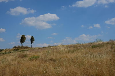 Scenic view of field against sky