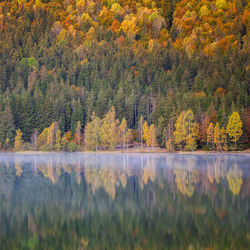 Scenic view of lake in forest during autumn