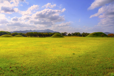 Scenic view of field against sky