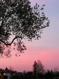 Low angle view of silhouette tree against sky at sunset