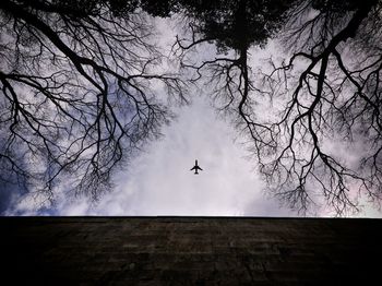 Low angle view of silhouette birds flying against sky