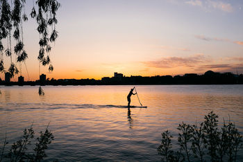 Silhouette of person rowing boat