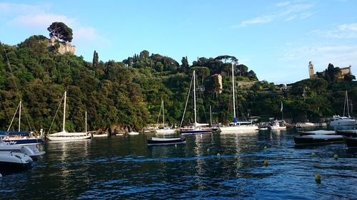 Boats moored at harbor against sky