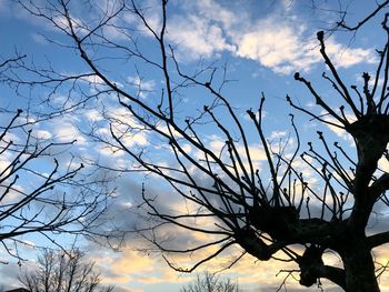 Low angle view of silhouette bare tree against sky